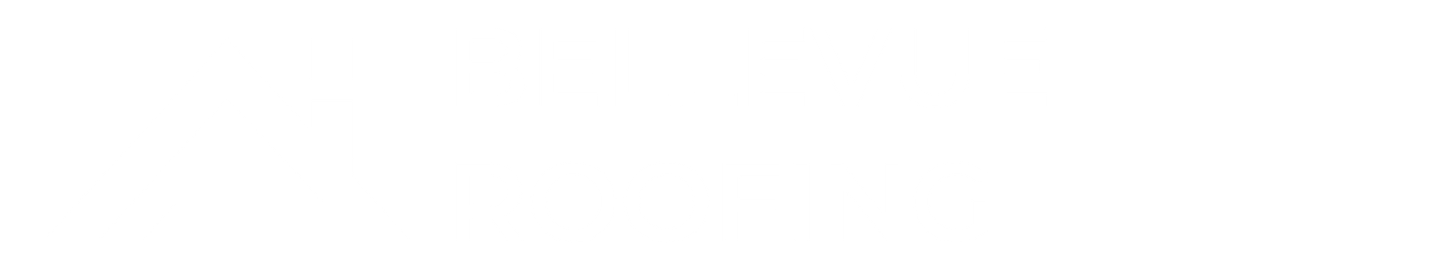 Bellevue Roofing